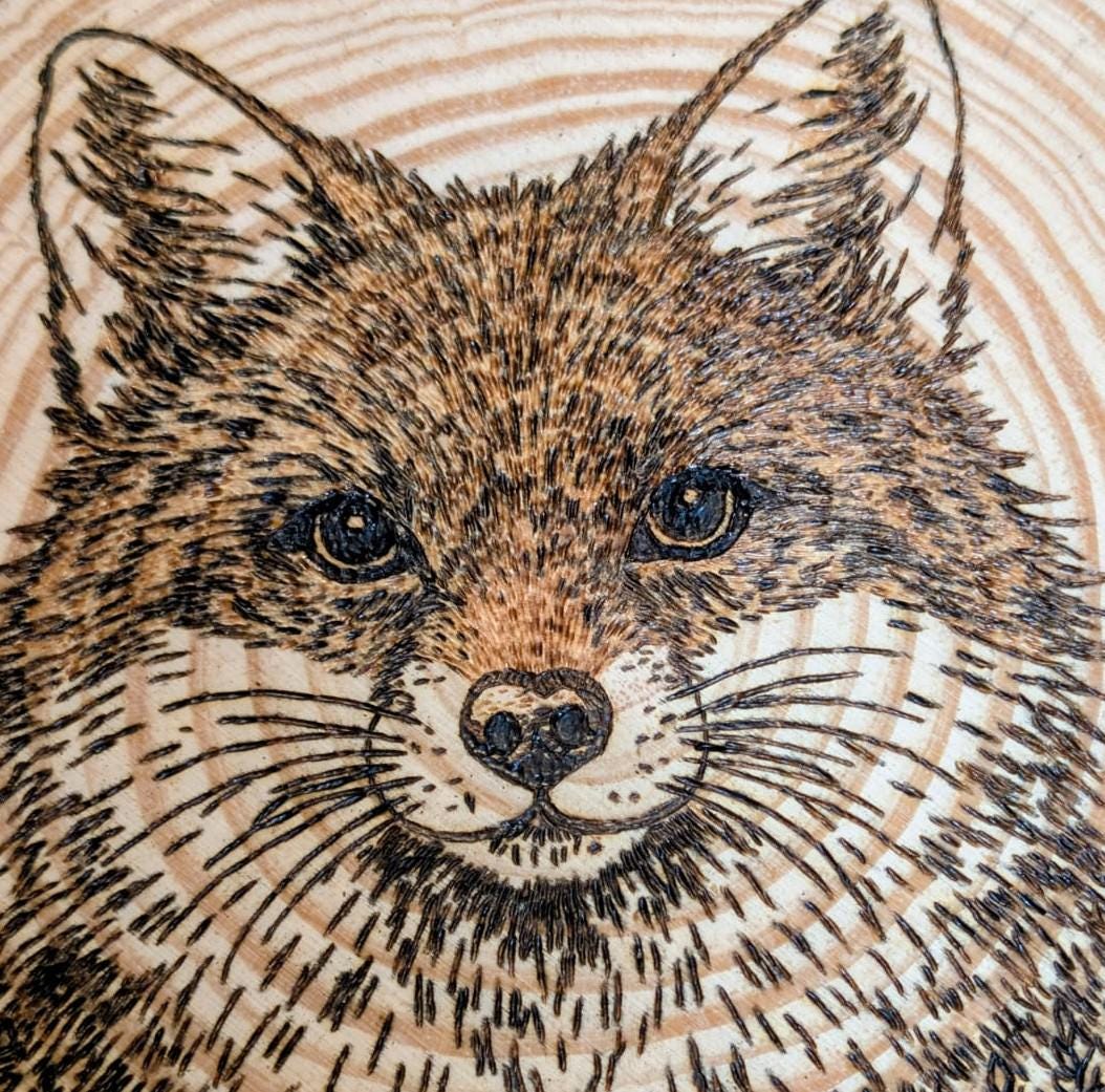 Fox Hand Burned Pyrography Wood Slice Wall Art