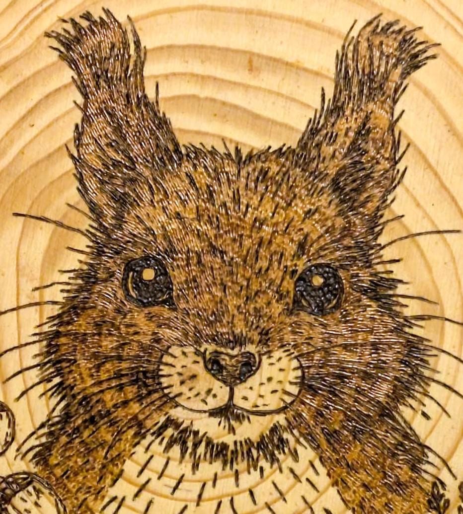 Red Squirrel Hand Burned Pyrography Wood Slice Wall Art