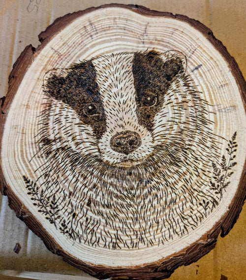 Badger Hand Burned Pyrography Wood Slice Wall Art