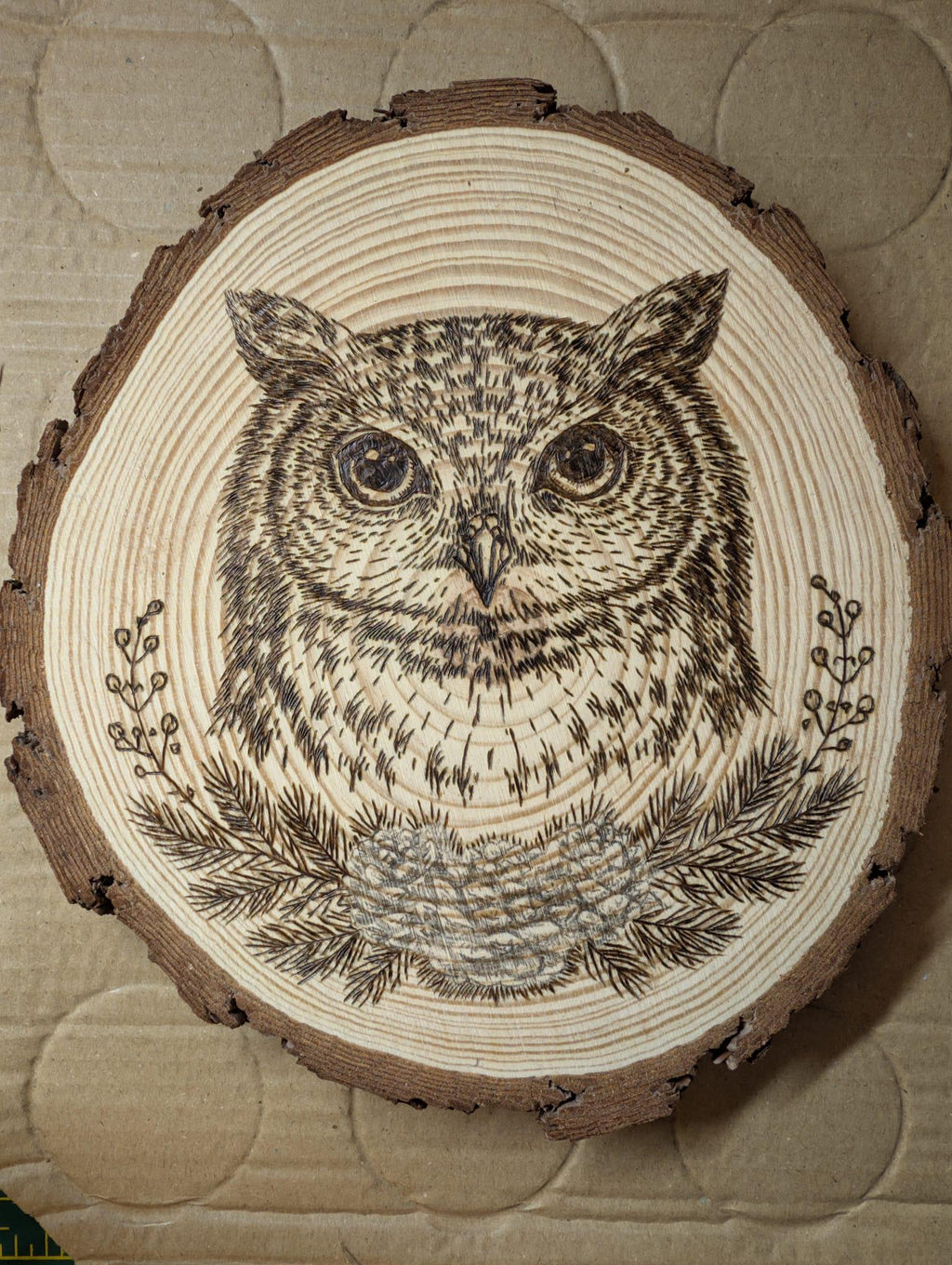 Owl Hand Burned Pyrography Wood Slice Wall Art