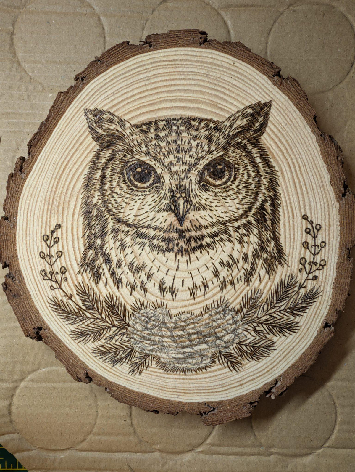 Owl Hand Burned Pyrography Wood Slice Wall Art