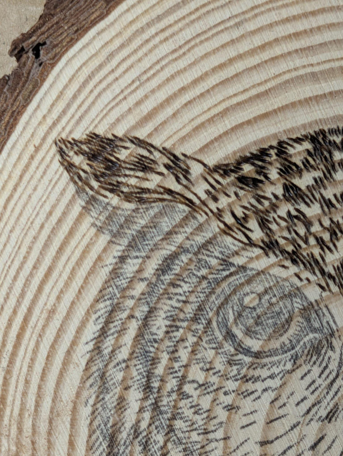 Owl Hand Burned Pyrography Wood Slice Wall Art