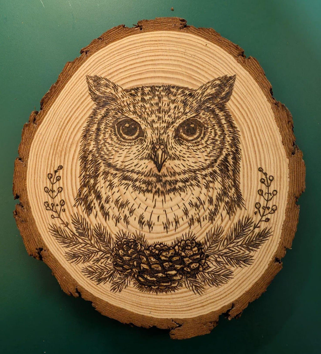 Owl Hand Burned Pyrography Wood Slice Wall Art