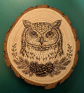 Owl Hand Burned Pyrography Wood Slice Wall Art