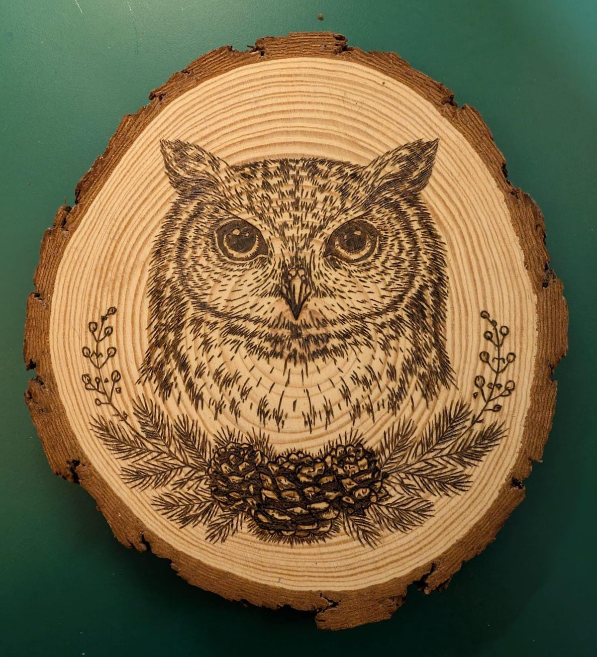 Owl Hand Burned Pyrography Wood Slice Wall Art