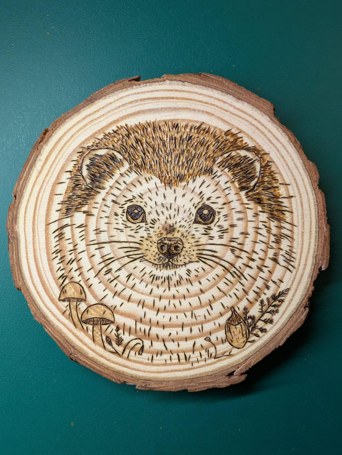 Hand Burned Woodland Animal Wood Slice – Pyrography Art, Fox, Owl, Hare (10cm)
