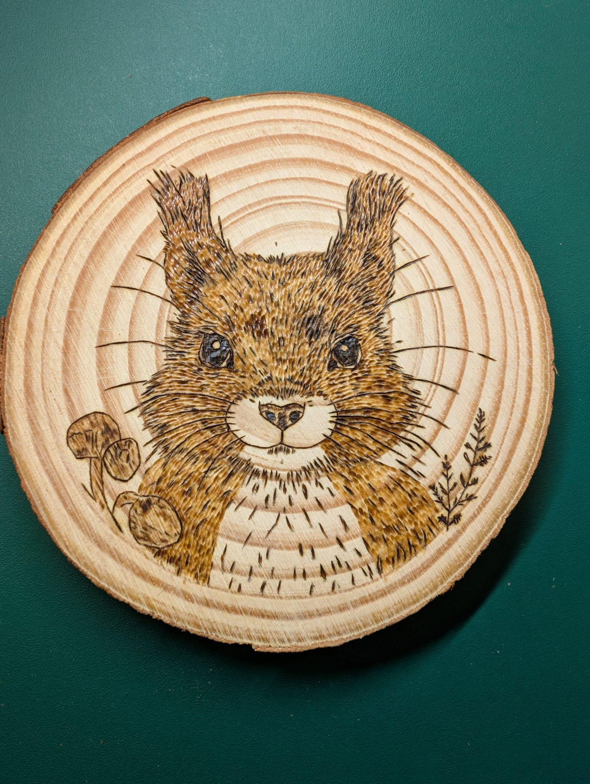 Hand Burned Woodland Animal Wood Slice – Pyrography Art, Fox, Owl, Hare (10cm)