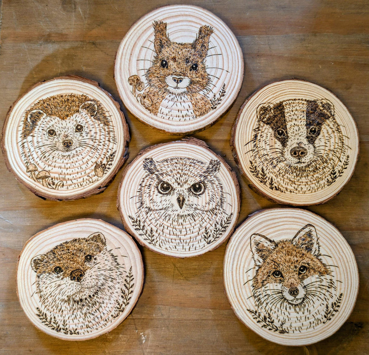 May include: Six wooden coasters with pyrography animal designs. Each coaster features a different woodland creature: a squirrel, hedgehog, owl, badger, otter, and fox. The coasters are circular with natural bark edges, perfect for a rustic aesthetic.