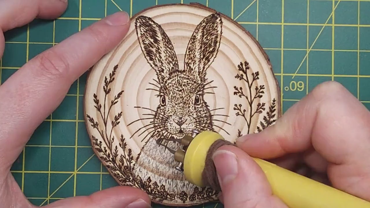 Hand Burned Woodland Animal Wood Slice – Pyrography Art, Fox, Owl, Hare (10cm)